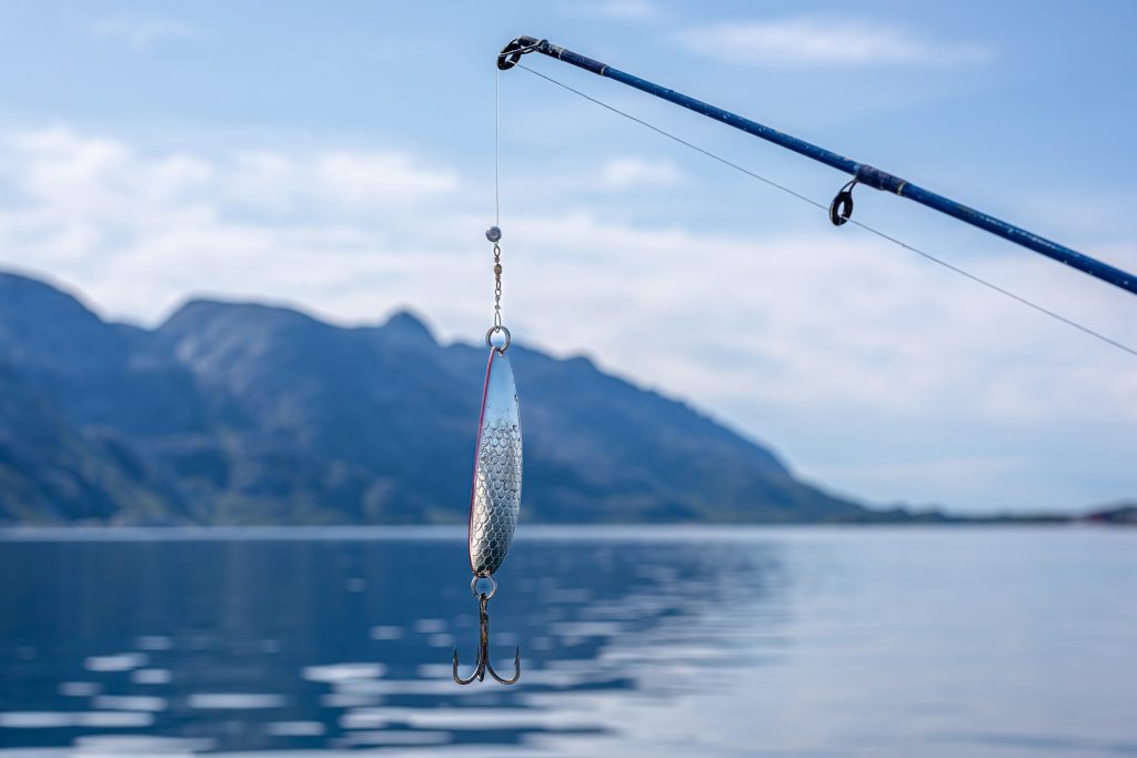 Image of a fishing rod