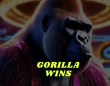 Gorilla Wins Casino Review